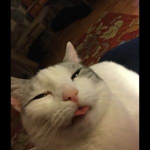 Meet your Posher, Wendy