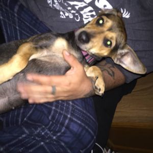 Meet your Posher, Brandon