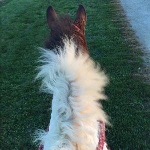 Meet your Posher, Anna