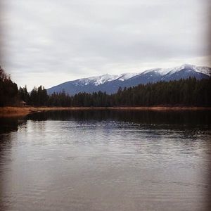 Meet your Posher, Shelbye