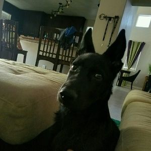 Meet your Posher, Kate