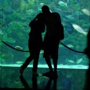 Meet your Posher, Alaa