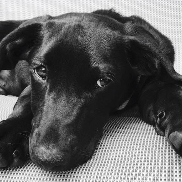 Meet your Posher, Courtney - Picture 1 of 1