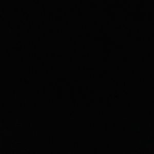 Meet your Posher, Devin