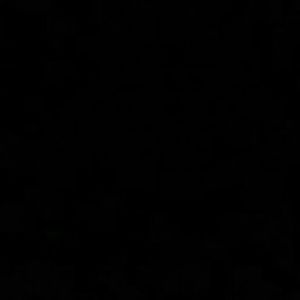 Meet your Posher, Myles