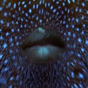 Meet your Posher, Marj