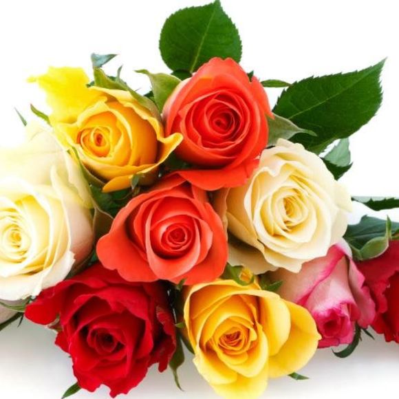 Meet your Posher, Emilce - Picture 1 of 1