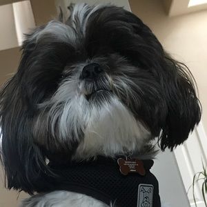 Meet your Posher, Lisa