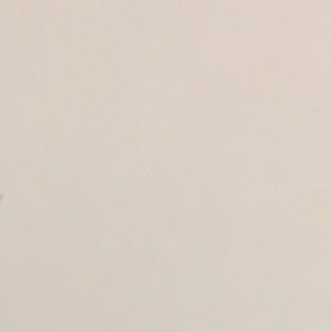 Meet your Posher, Leo