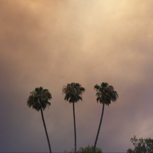 Meet your Posher, Alan