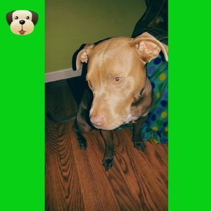 Meet your Posher, Tadd