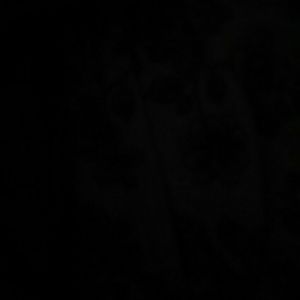 Meet your Posher, Angel