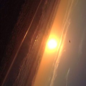 Meet your Posher, Adelina