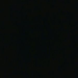 Meet your Posher, Dakota