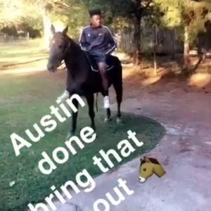 Meet your Posher, Austin