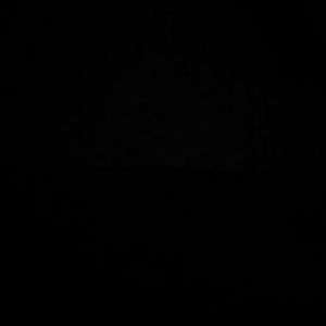 Meet your Posher, Theodore