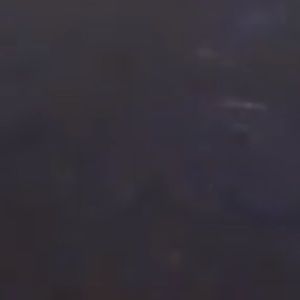 Meet your Posher, Priscilla