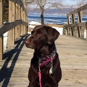 Meet your Posher, Laura