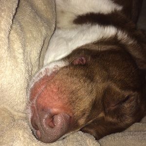 Meet your Posher, Dawn