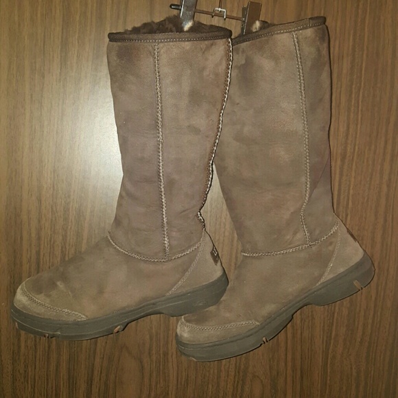 Chocolate uggs in excellent condition