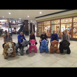 Meet your Posher, Abbie