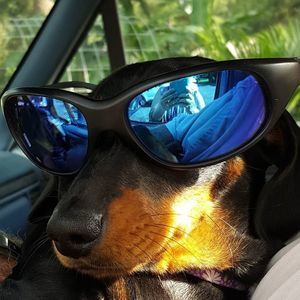 Meet your Posher, Louann phares