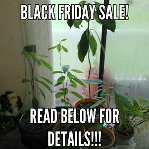 💣💥💣💥 5 ITEMS FOR 20$⛄⛄