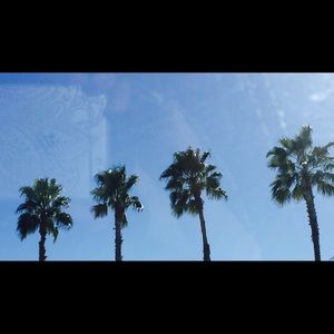 Meet your Posher, Elle