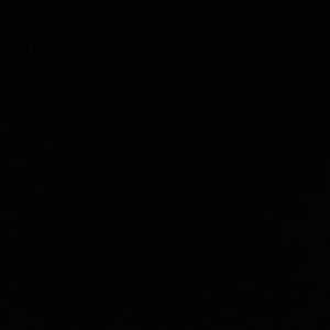 Meet your Posher, Leonor