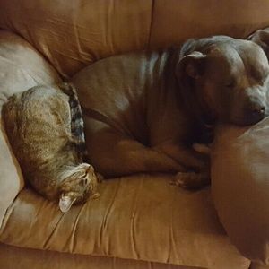 Meet your Posher, Vivian