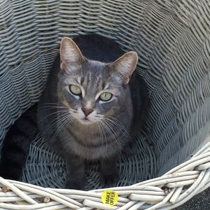 Meet your Posher, Deanna