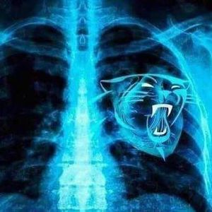 Meet your Posher, Louis