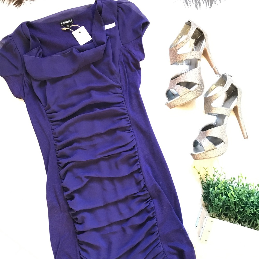 Express Bodycon Purple Dress