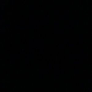 Meet your Posher, Ayden