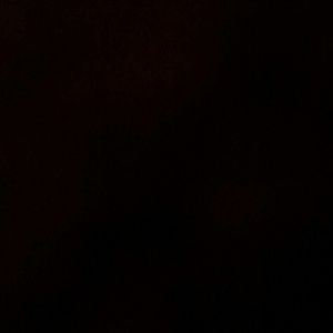 Meet your Posher, Romeo