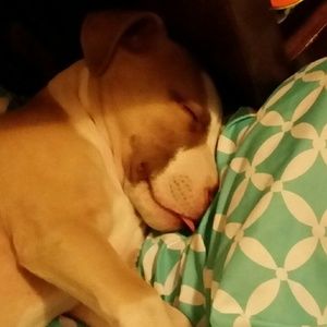 Meet your Posher, Rey