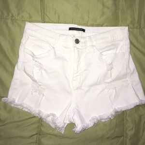 Flying Monkey Brand New Shorts