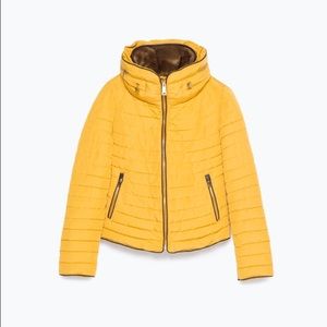 Zara Mustard Parka Short