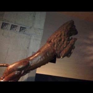 Meet your Posher, Liz