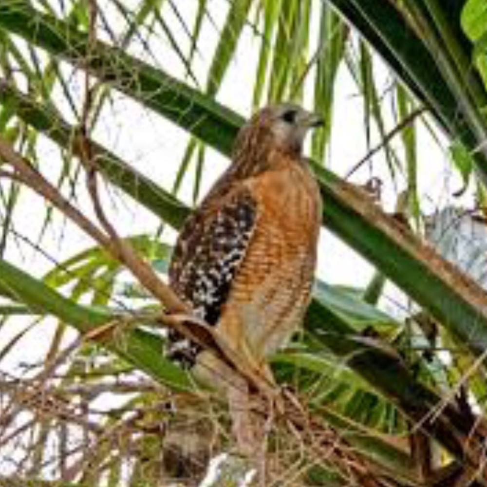 Meet your Posher, Matia.