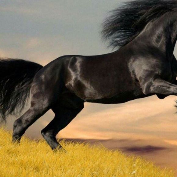 Meet your Posher, Lupita