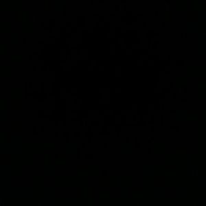 Meet your Posher, Bridgett