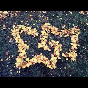 Meet your Posher, Tony