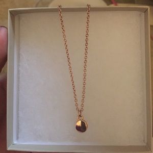Rose Gold Banana Republic Necklace