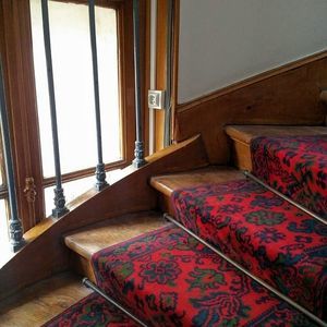 Meet your Posher, Betsy