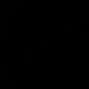 Meet your Posher, Faye