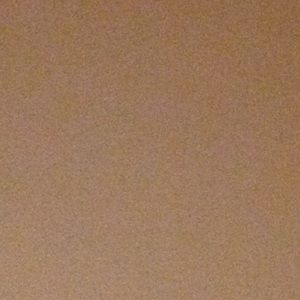 Meet your Posher, Brady