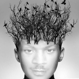 Meet your Posher, Henry