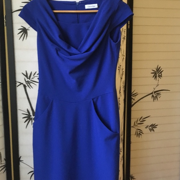 Calvin Klein Career dress