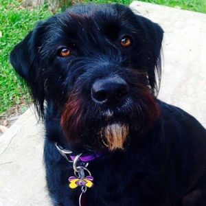 Meet your Posher, Diana